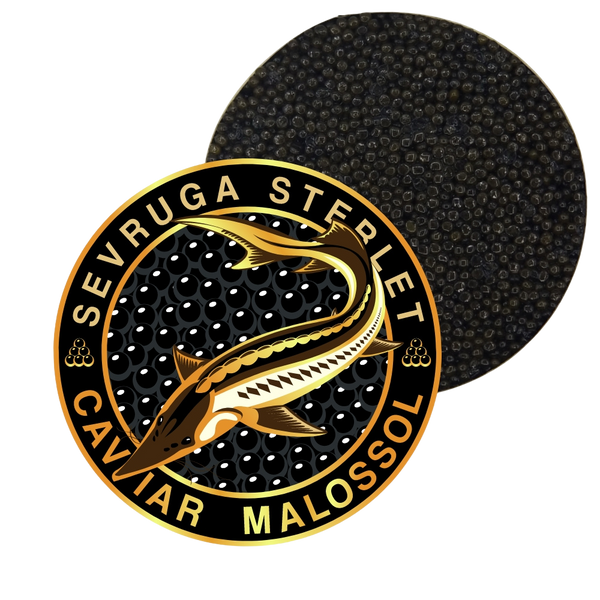 Sevruga Sterlet Sturgeon Malossol Black Caviar