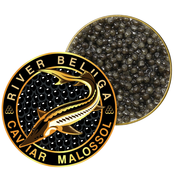River Beluga Sturgeon Malossol Black Caviar, Kaluga