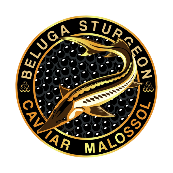 Beluga Sturgeon Malossol Black Caviar