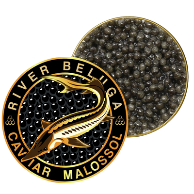 River Beluga Sturgeon Malossol Black Caviar, Kaluga