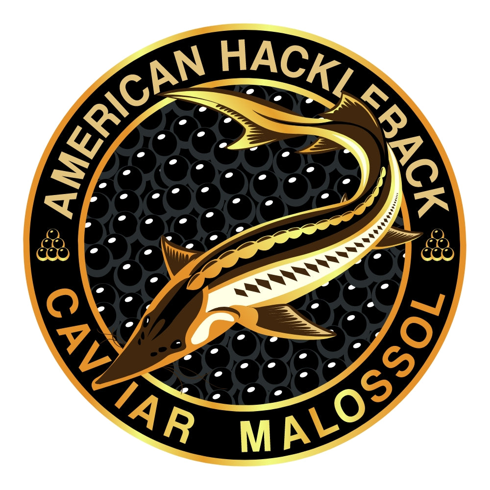 American Hackleback Sturgeon Wild-Caught Black Caviar - Image 2