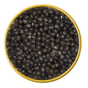 American White Sturgeon Black Caviar