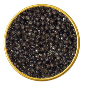 Beluga Sturgeon Premium Black Caviar – Huso Huso Hybrid Sturgeon Roe