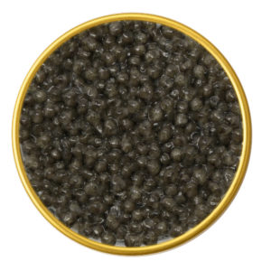 River Beluga Malossol Caviar – Premium Kaluga Sturgeon Roe