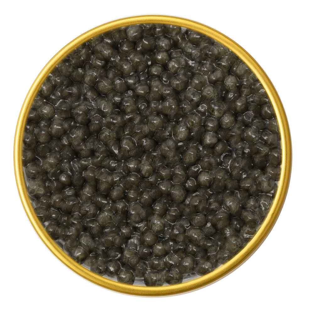 River Beluga Malossol Caviar – Premium Kaluga Sturgeon Roe