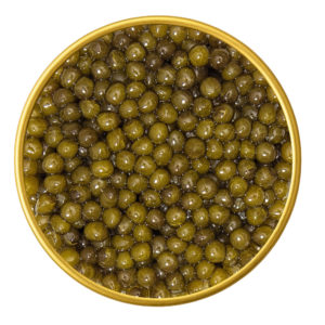 Imperial Osetra Black Caviar – Rare Golden Sturgeon Roe