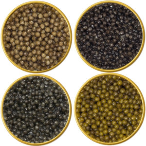 Osetra Sturgeon Caviar Sampler Set