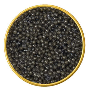 American Paddlefish Spoonbill Wild-Caught Black Caviar