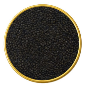 Premium Sevruga Black Caviar – Bold Caspian Sturgeon Roe